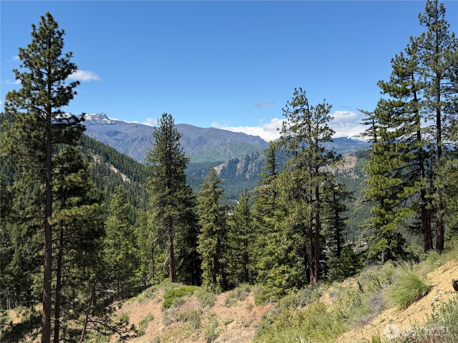 16100 Chumstick Highway Property Photo 24