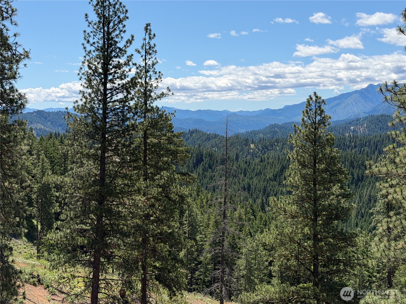 16100 Chumstick Highway Property Photo 25