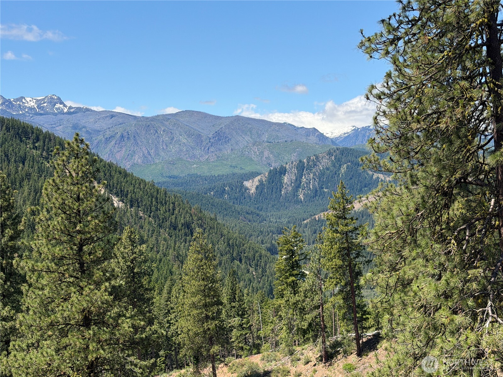 16100 Chumstick Highway Property Photo 26
