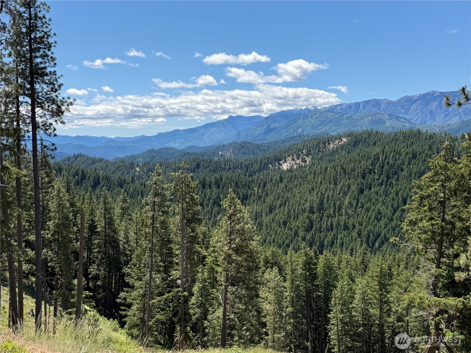 16100 Chumstick Highway Property Photo 27