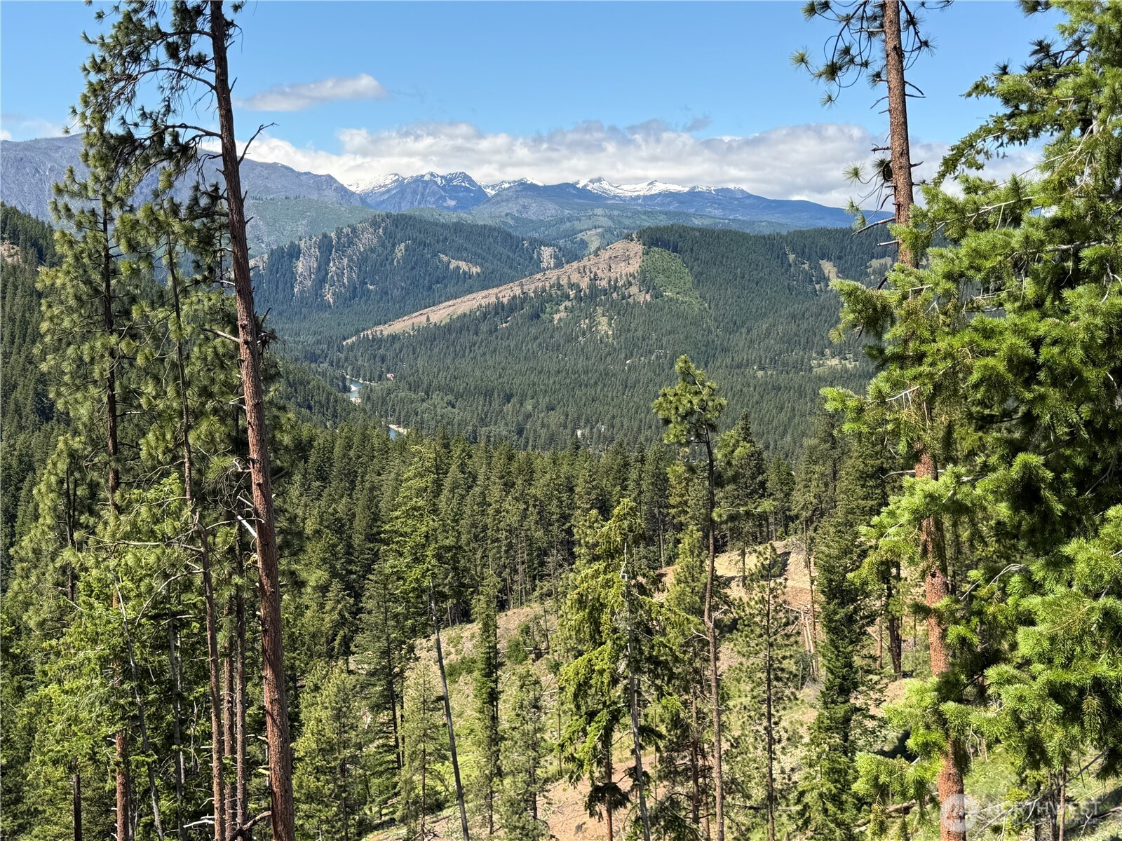 16100 Chumstick Highway Property Photo 28
