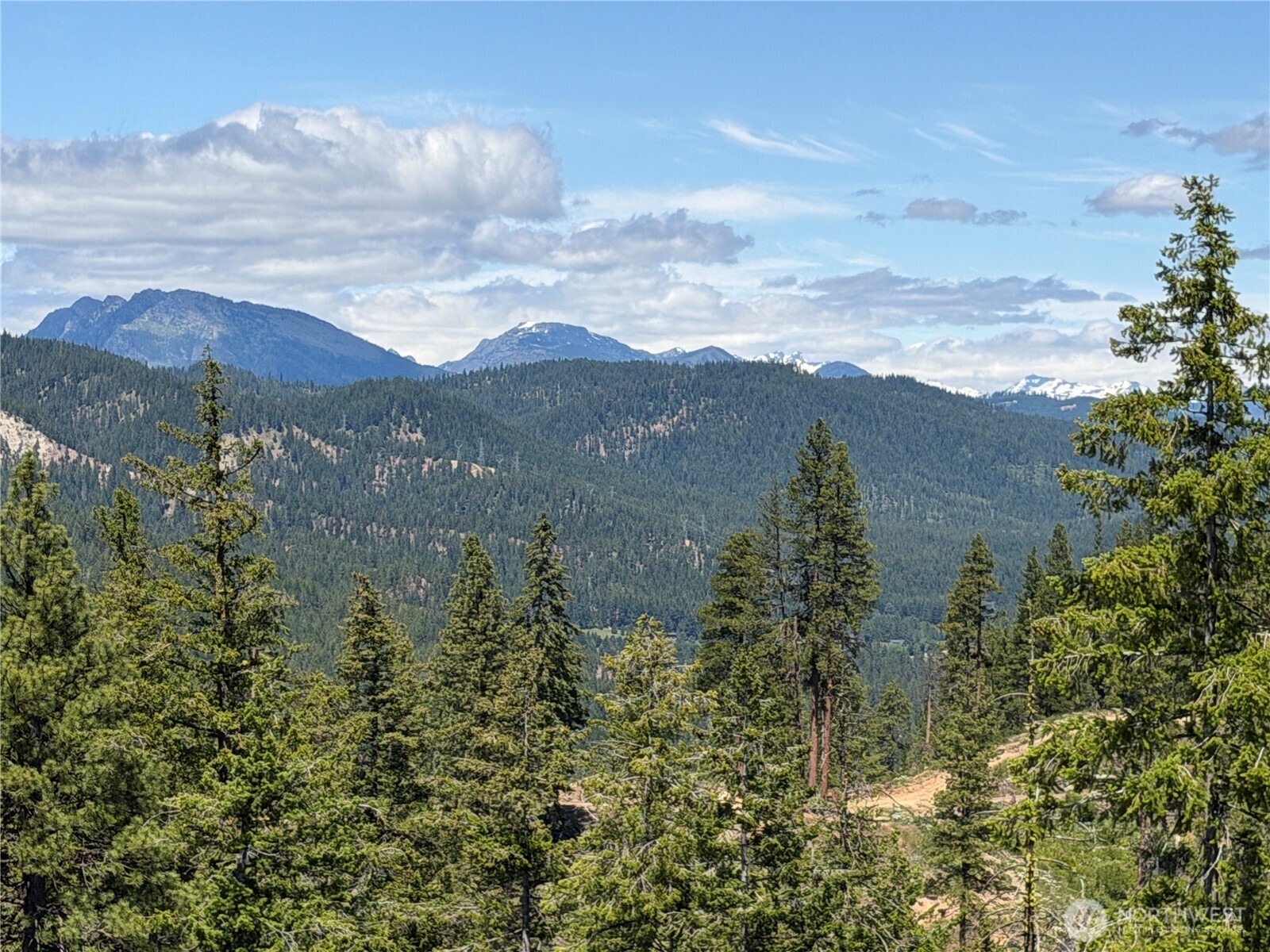 16100 Chumstick Highway Property Photo 29