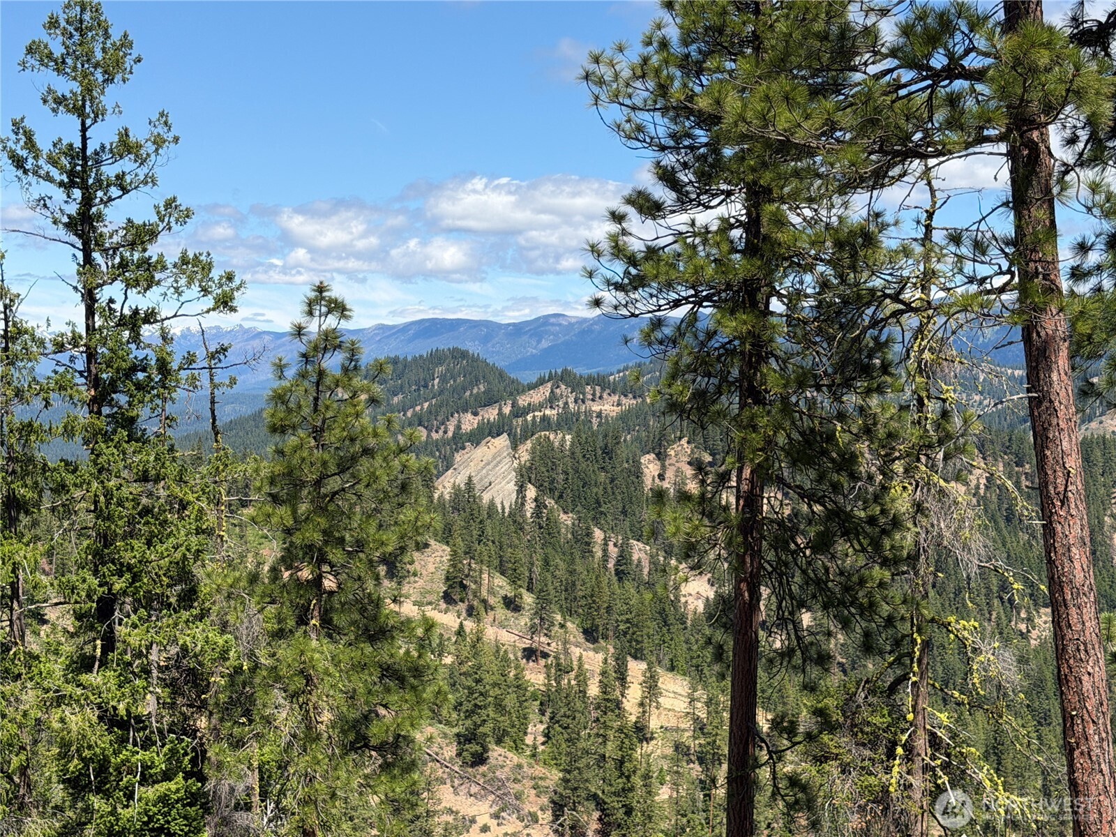 16100 Chumstick Highway Property Photo 30