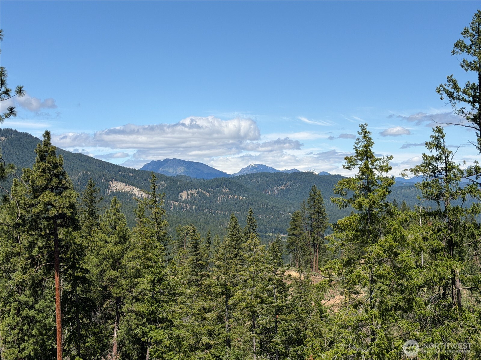 16100 Chumstick Highway Property Photo 31
