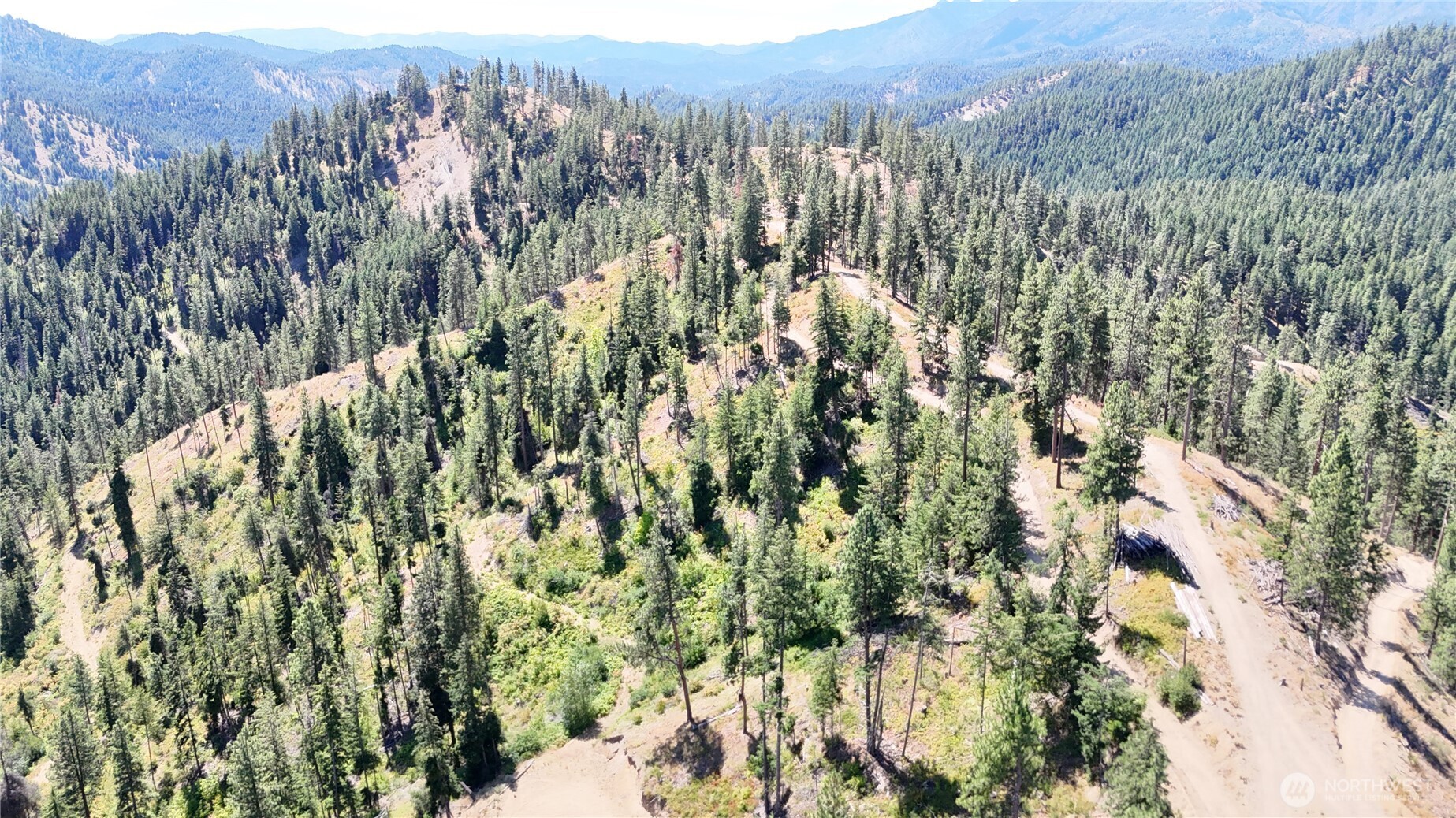16100 Chumstick Highway Property Photo 34