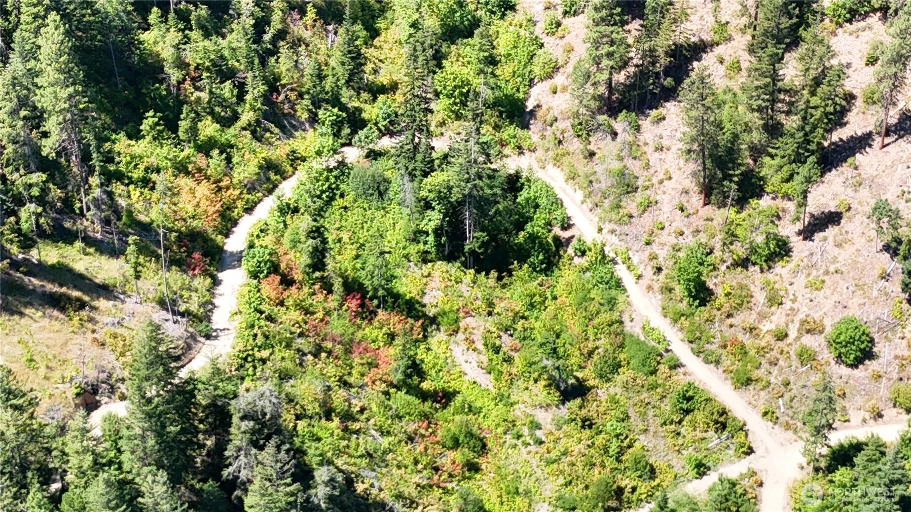 16100 Chumstick Highway Property Photo 37