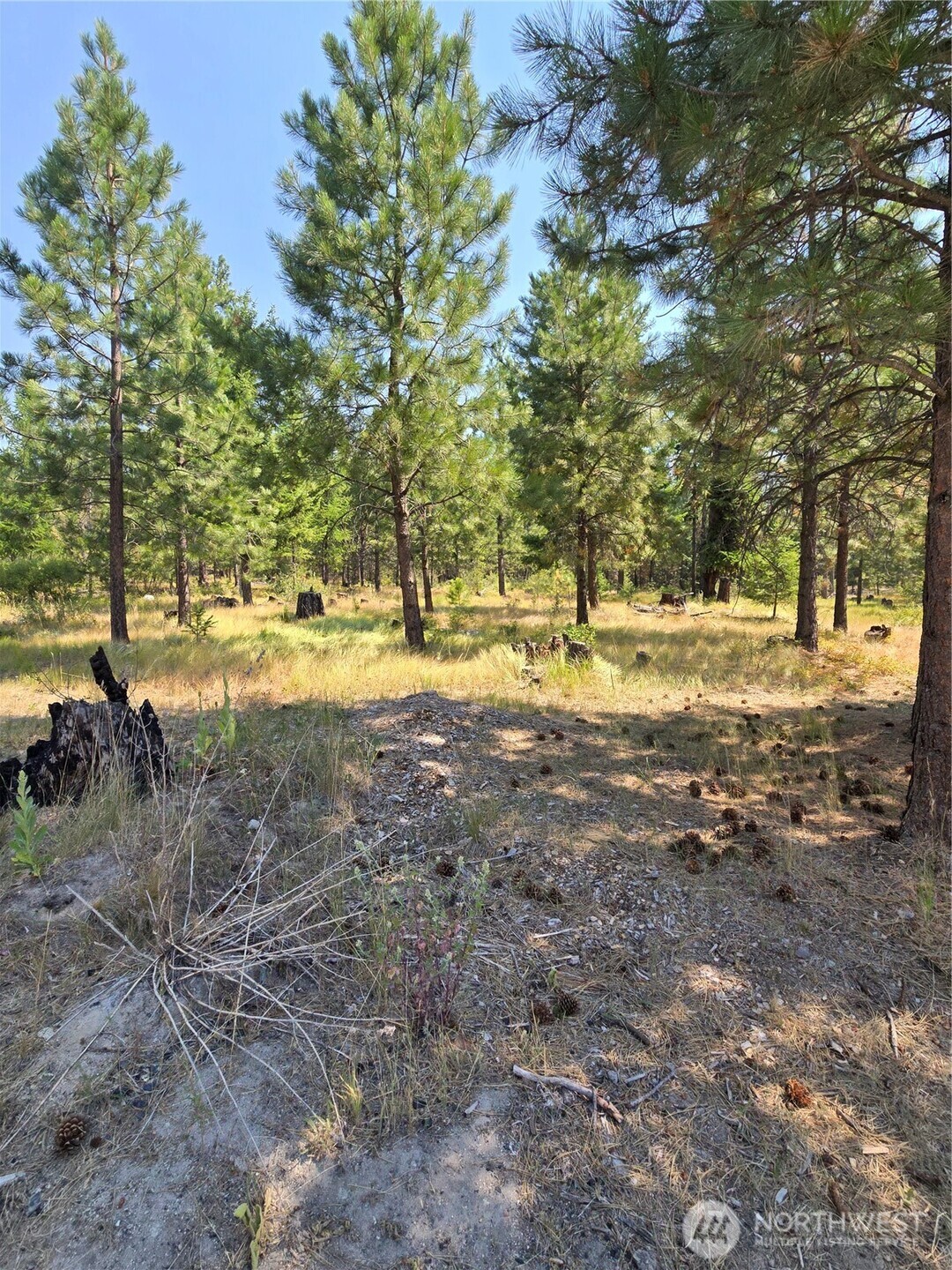 15 Appaloosa Road Property Photo 6