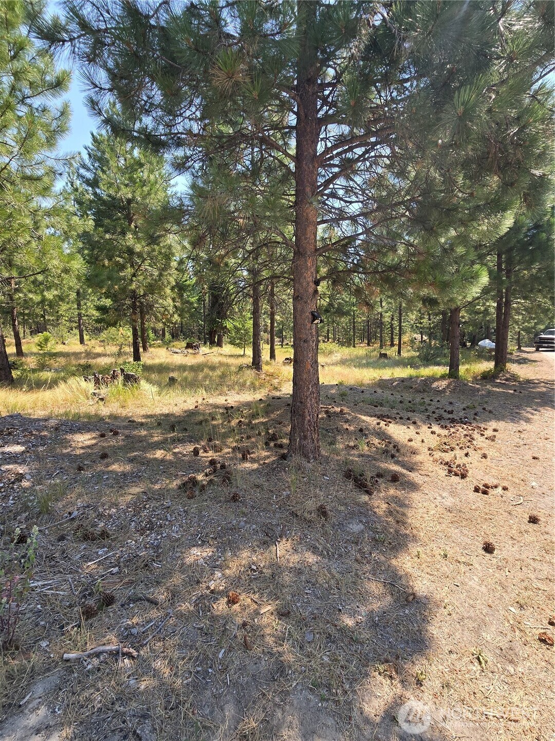 15 Appaloosa Road Property Photo 7
