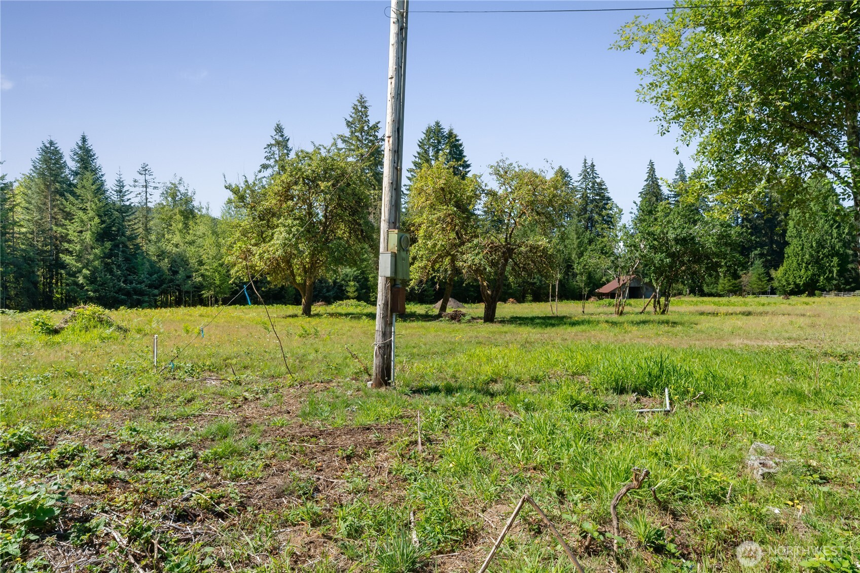 38 Ray Road Property Photo 5