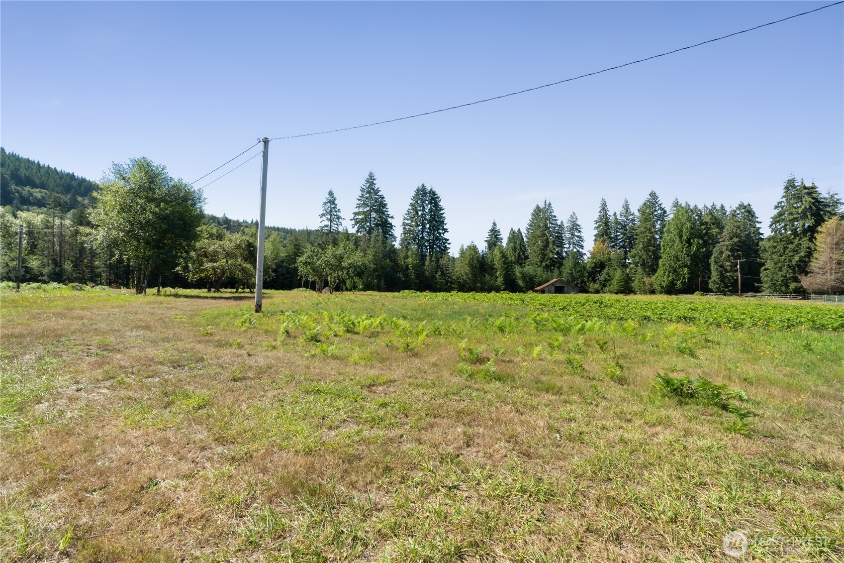 38 Ray Road Property Photo 7