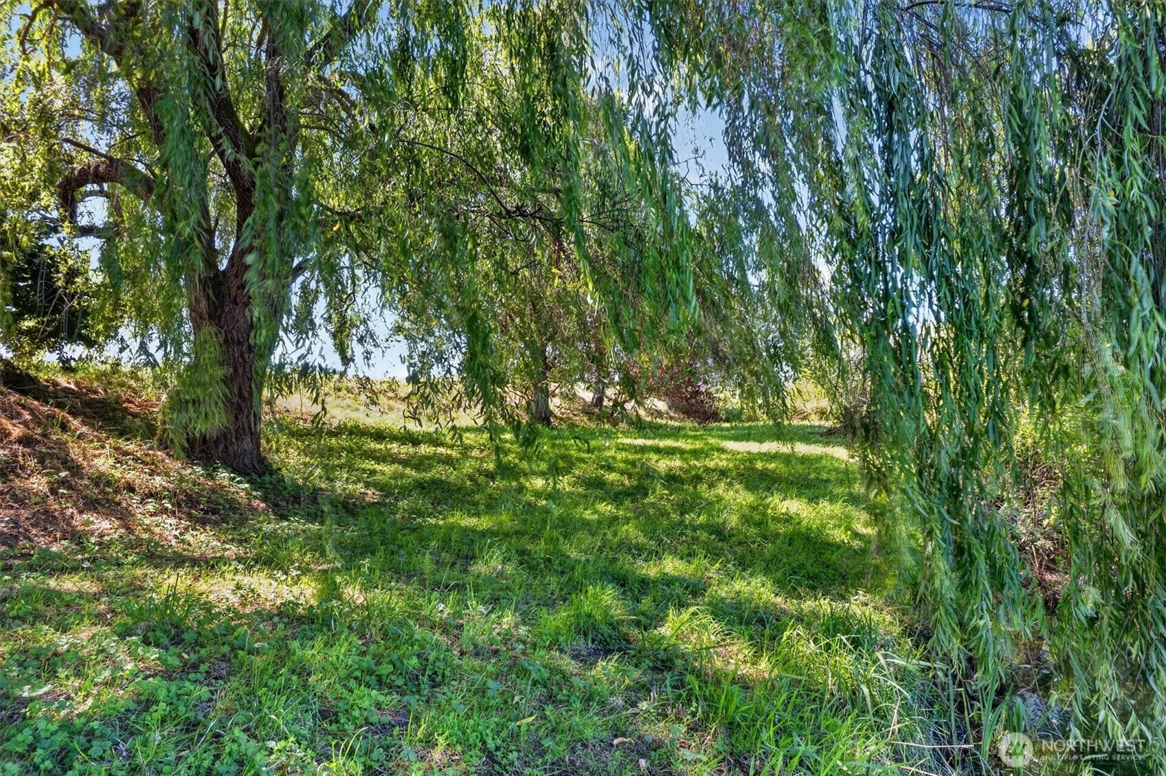 111 E Birnie Slough Road Property Photo 8