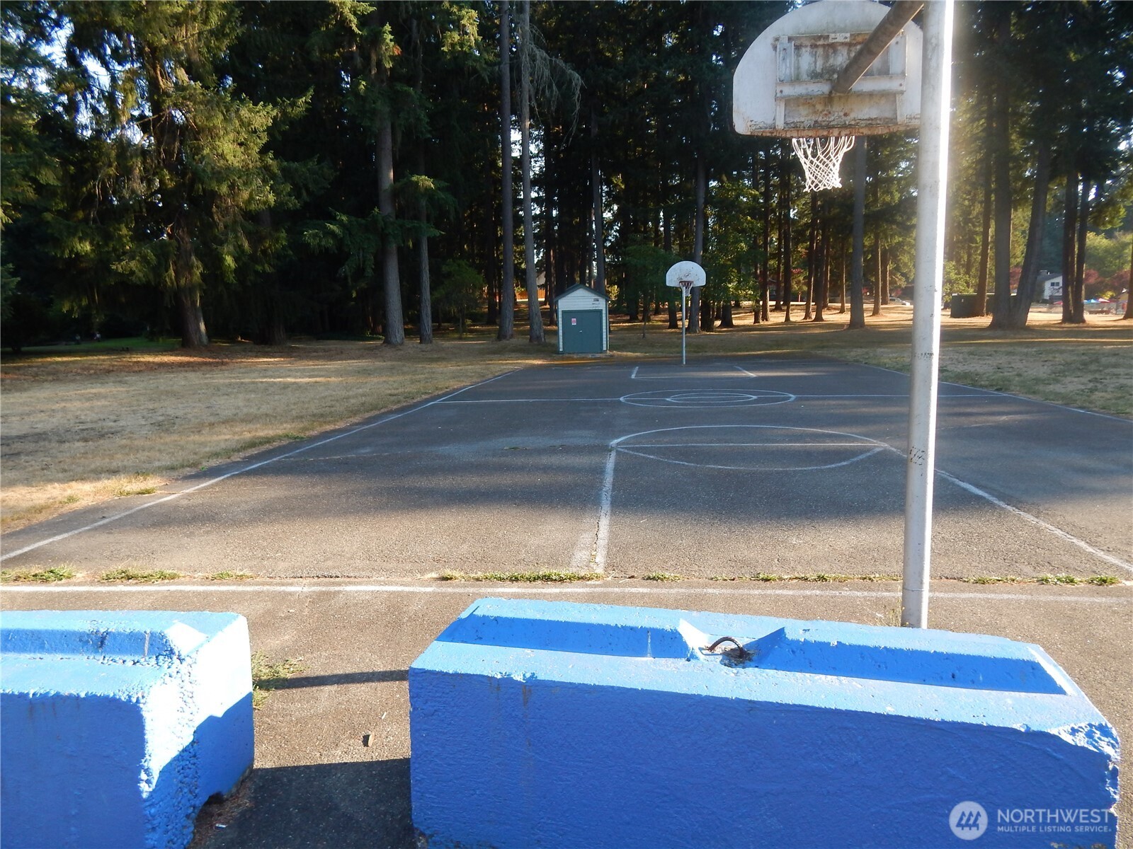 522 Penguin Court Property Photo 29