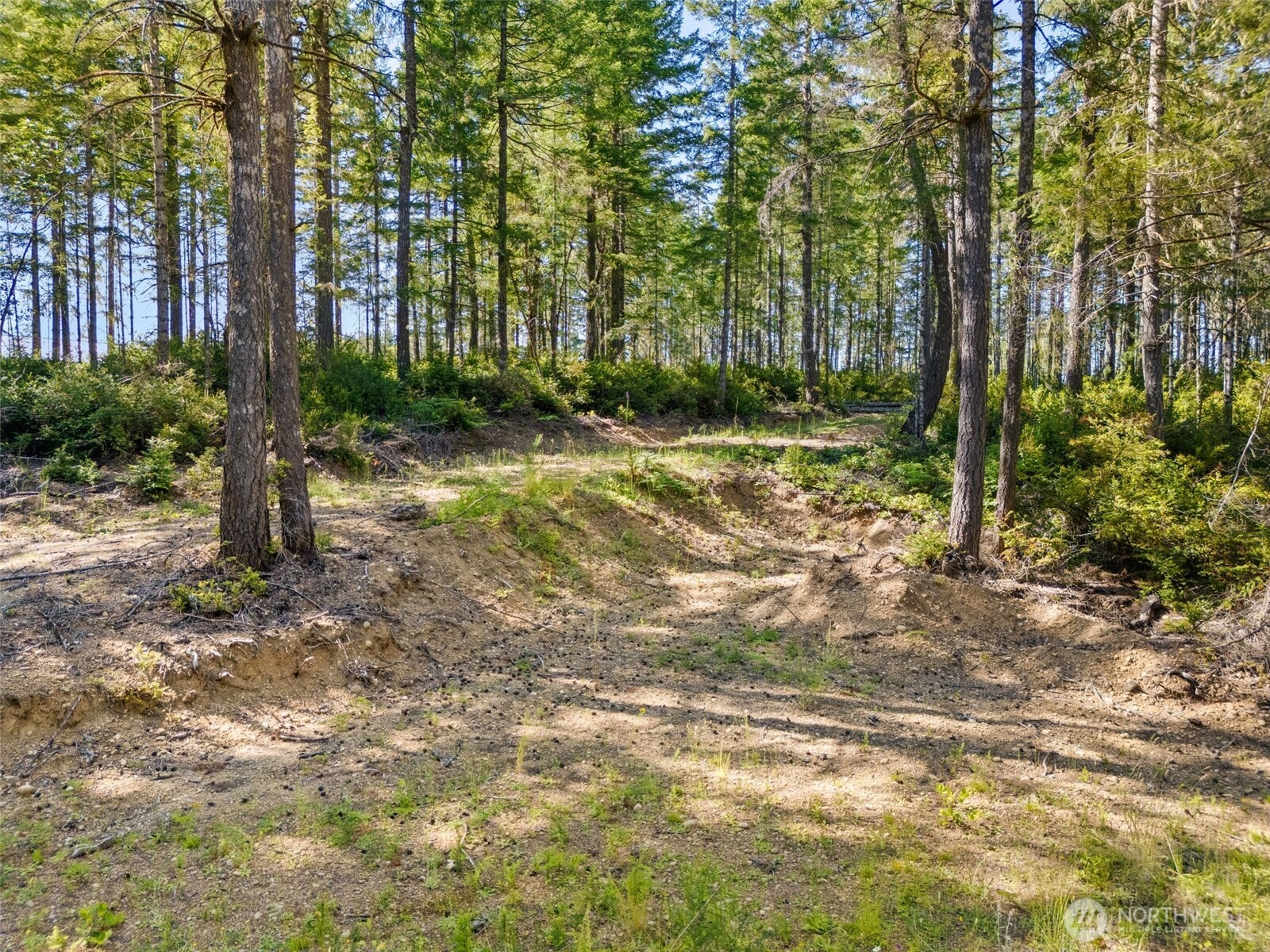 0 Tr3 E Mason Lake Road Property Photo 2