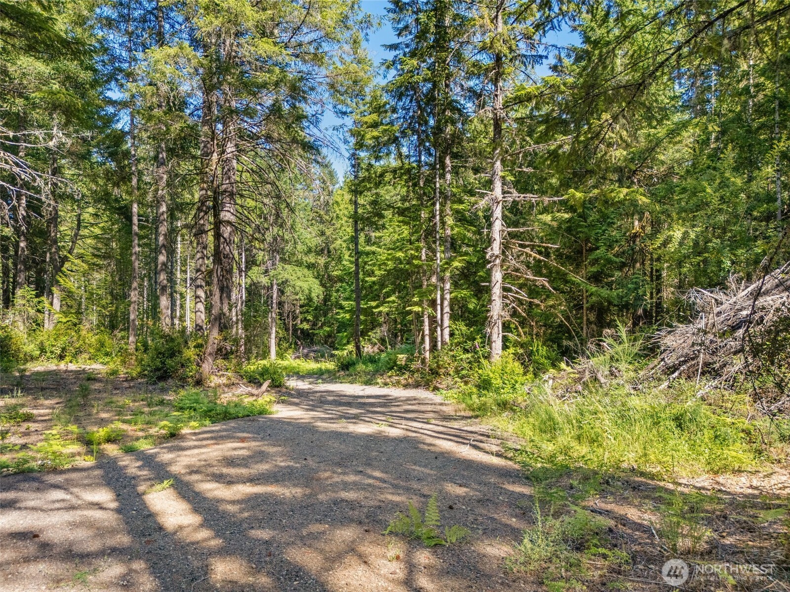0 Tr3 E Mason Lake Road Property Photo 4