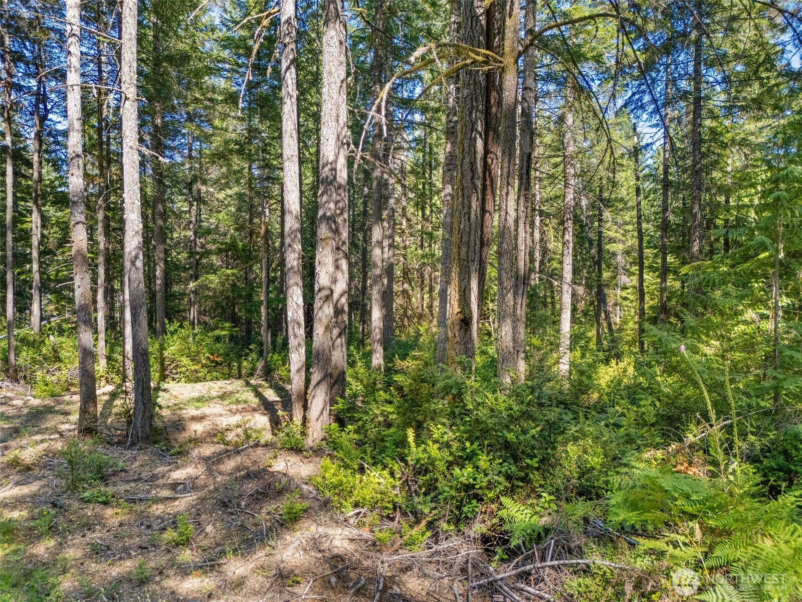 0 Tr3 E Mason Lake Road Property Photo 8