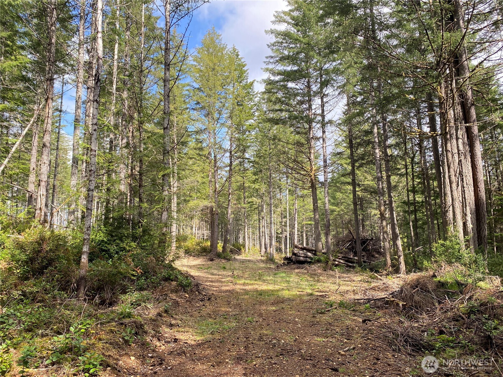 0 Tr3 E Mason Lake Road Property Photo 10
