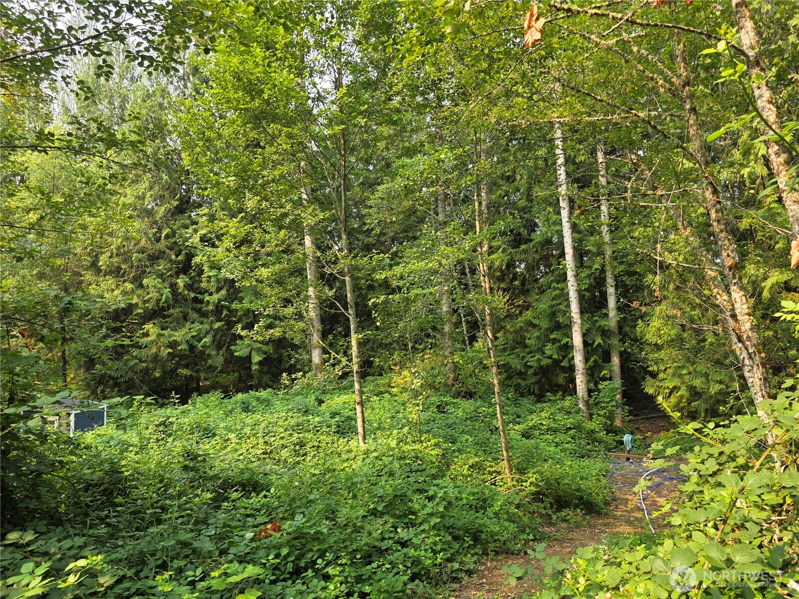 23904 Lot 8 E Lake Kayak Drive Property Photo 2