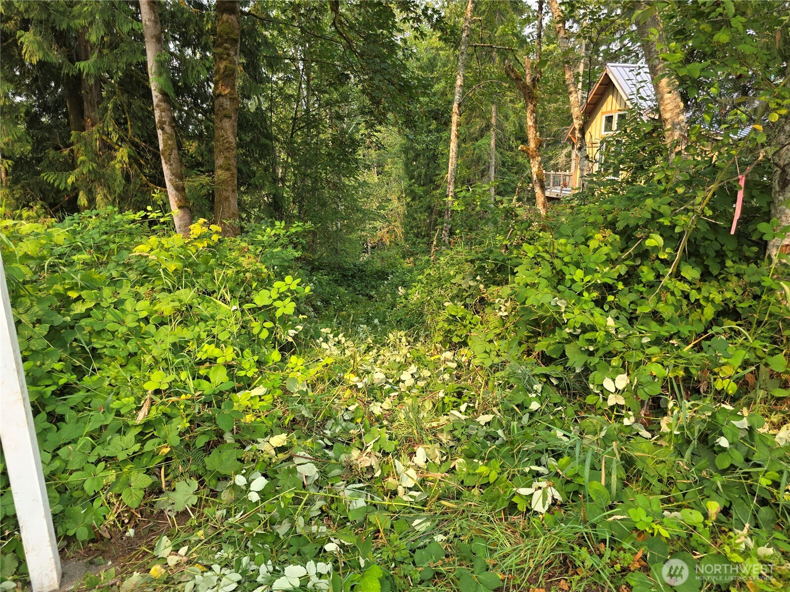23904 Lot 8 E Lake Kayak Drive Property Photo 4