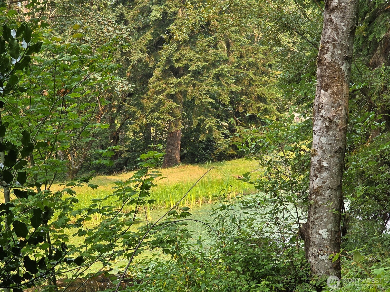 23904 Lot 8 E Lake Kayak Drive Property Photo 5