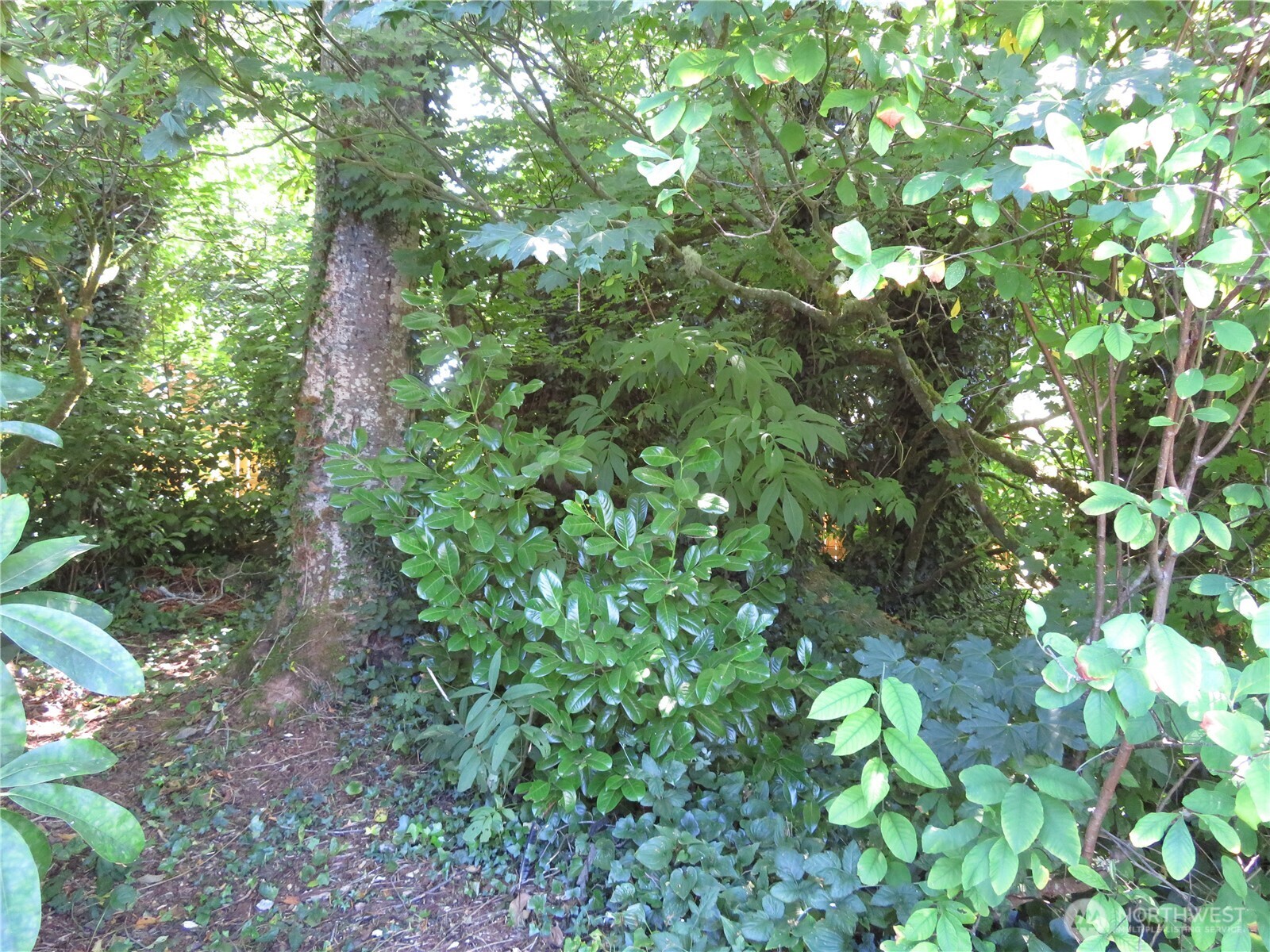 504 Solki Road Property Photo 24