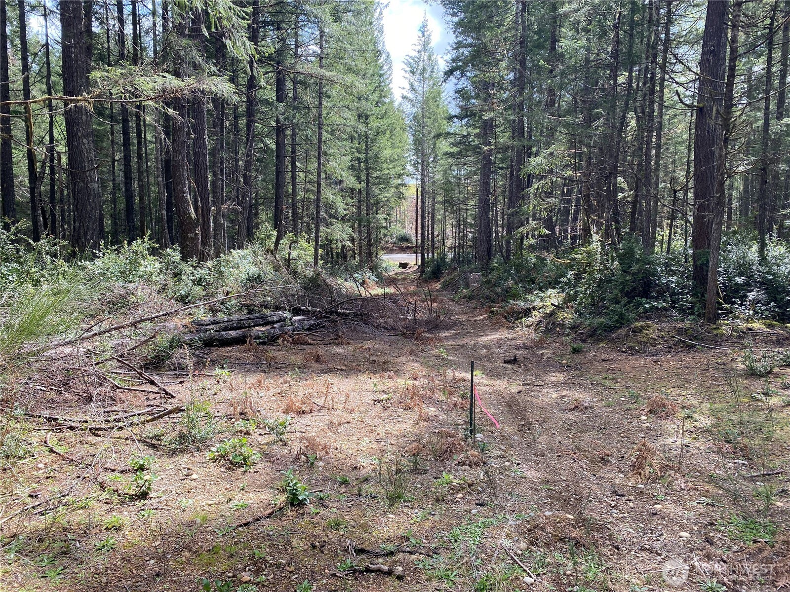 0 Tr4 E Mason Lake Road Property Photo 8