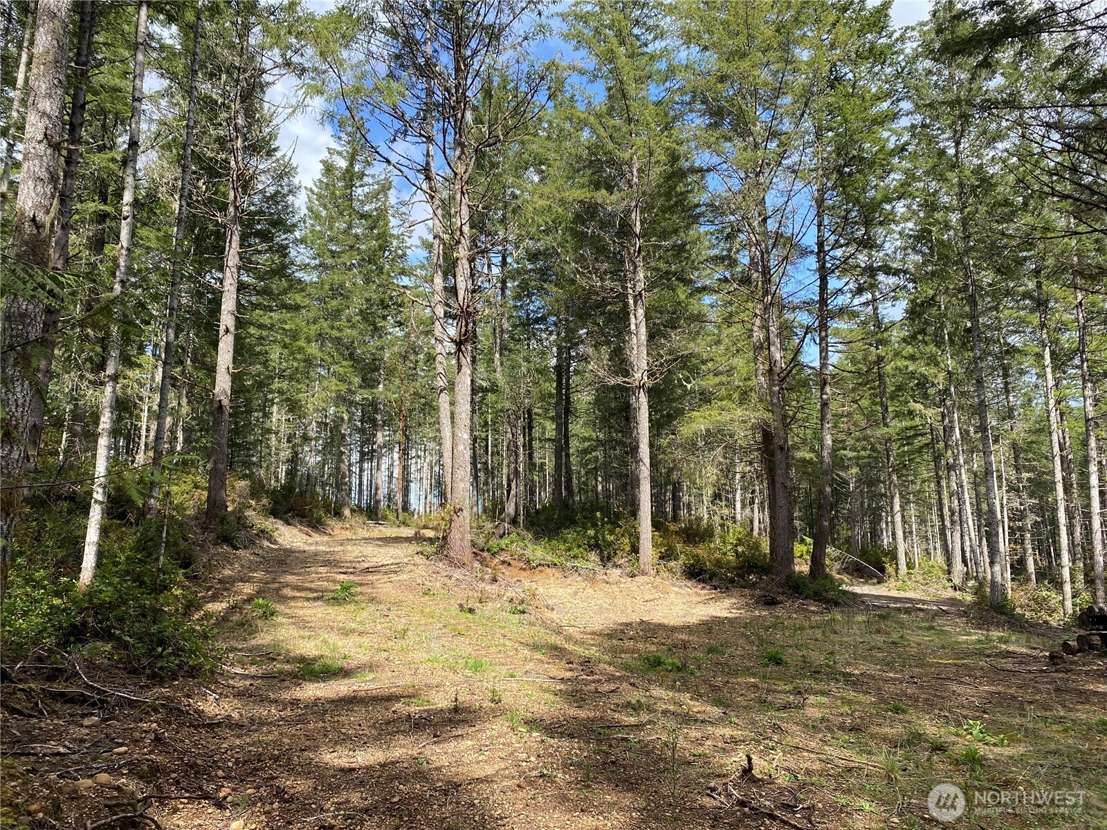 0 Tr4 E Mason Lake Road Property Photo 10