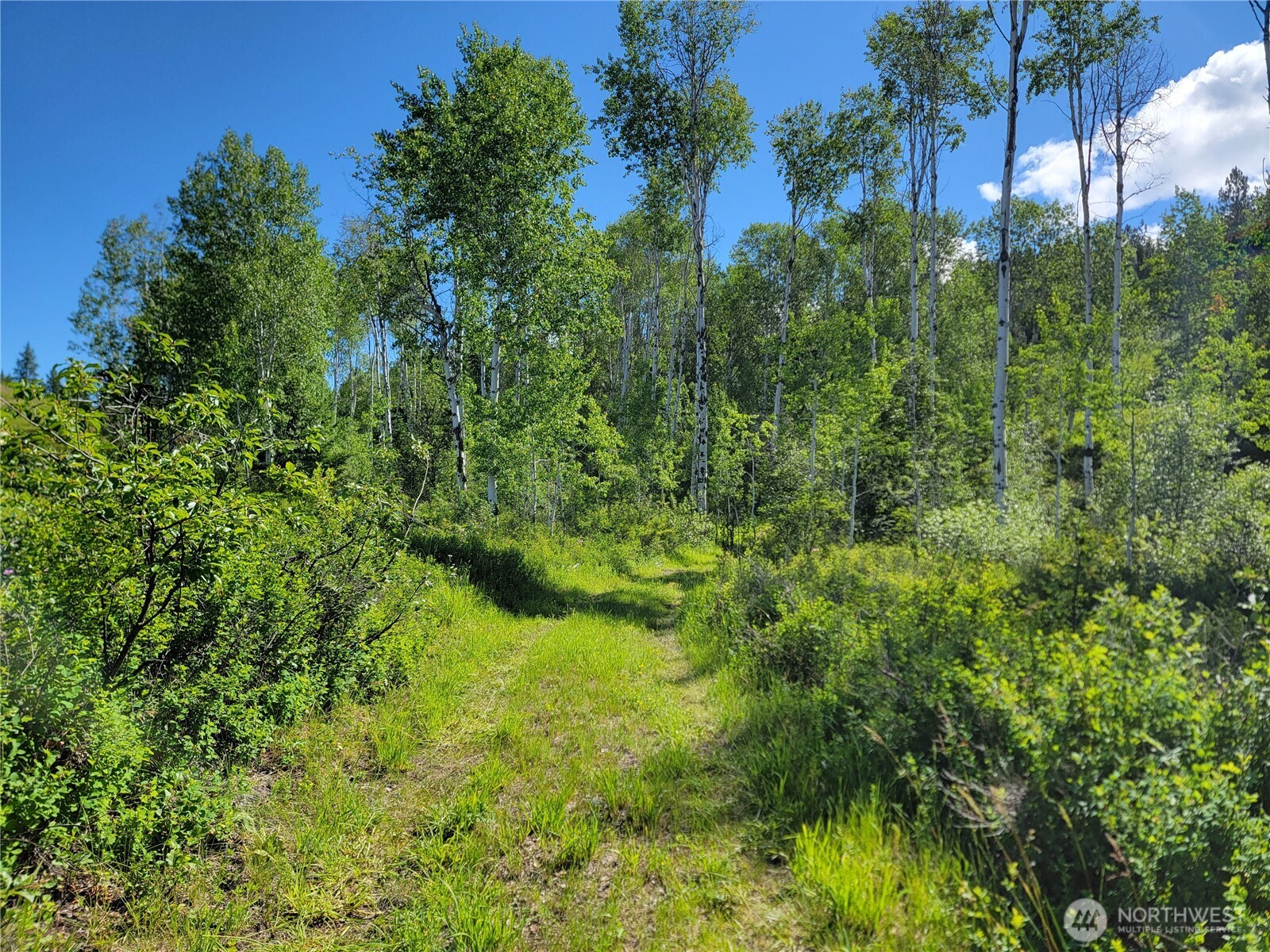 29 Yellow Brick Road Property Photo 10