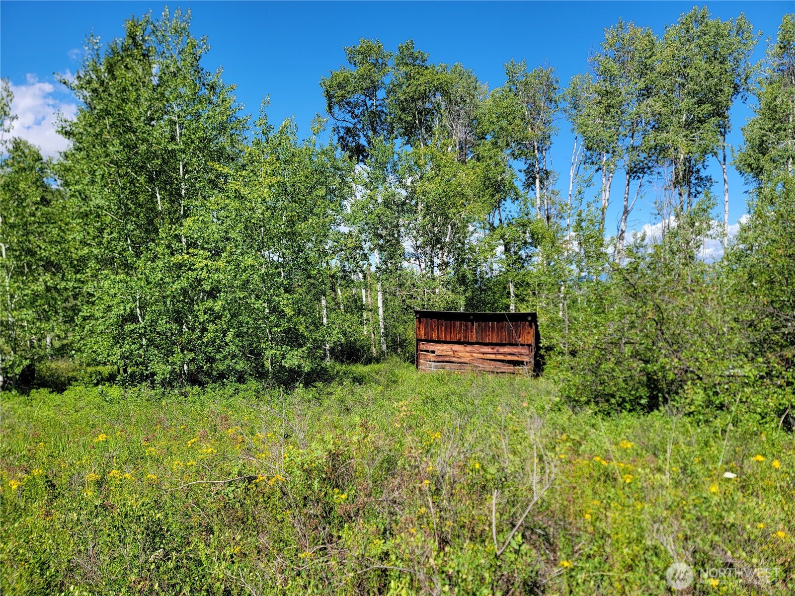 29 Yellow Brick Road Property Photo 12