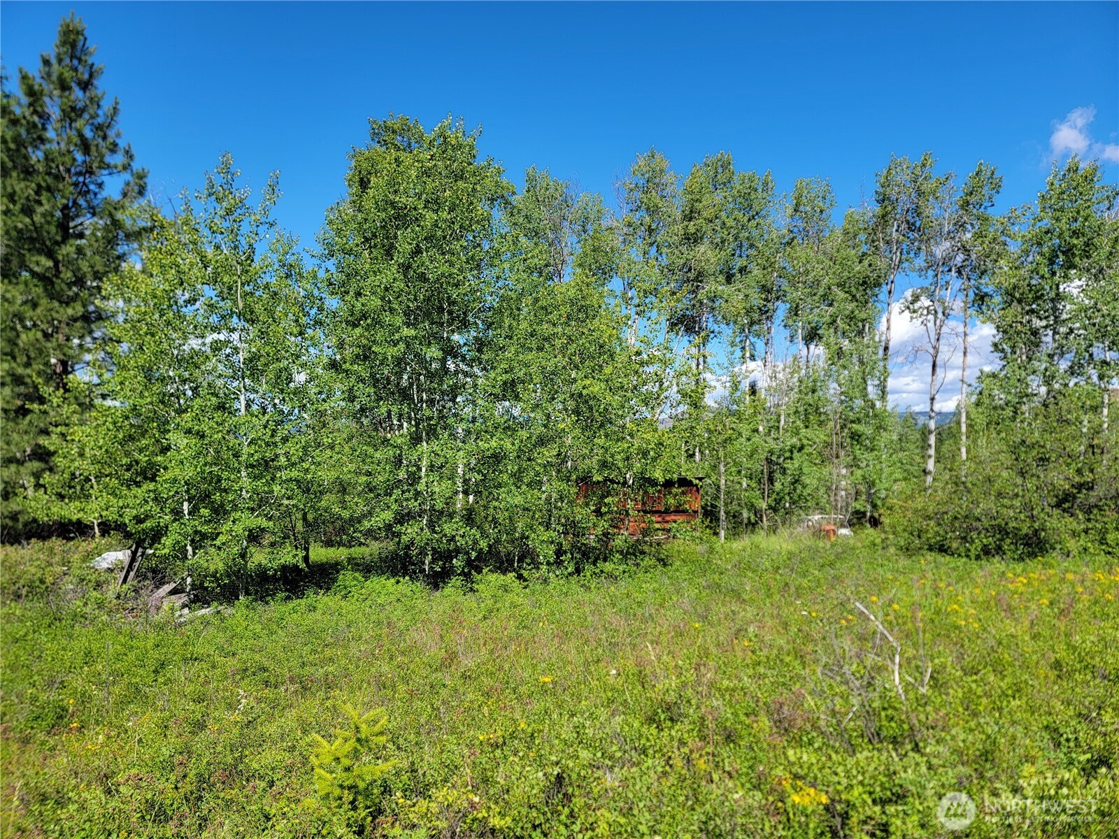 29 Yellow Brick Road Property Photo 13
