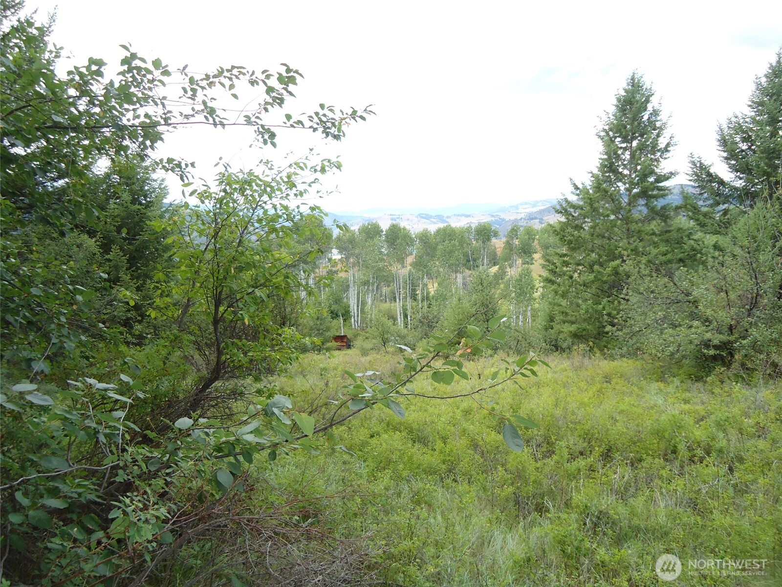 29 Yellow Brick Road Property Photo 15