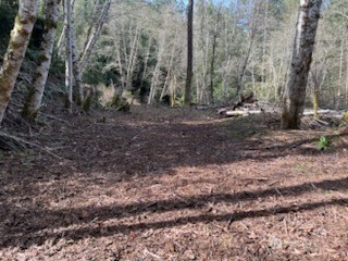 61 E Woods Place Property Photo 1