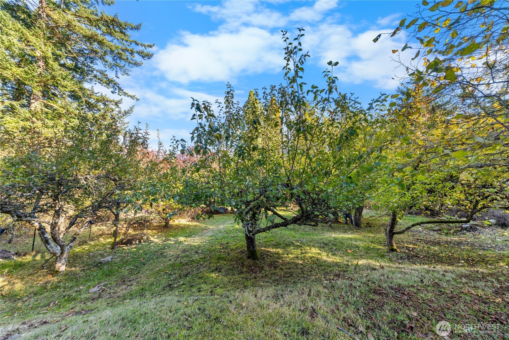 27193 State Route 20 Property Photo 29