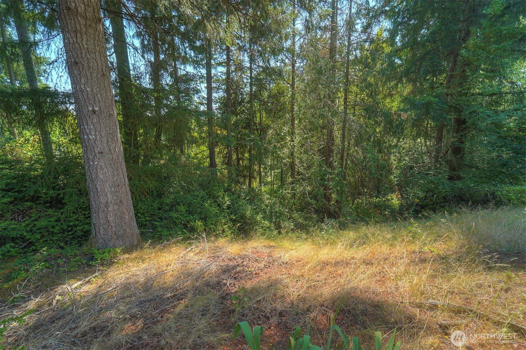 10932 Peony Place Property Photo 37