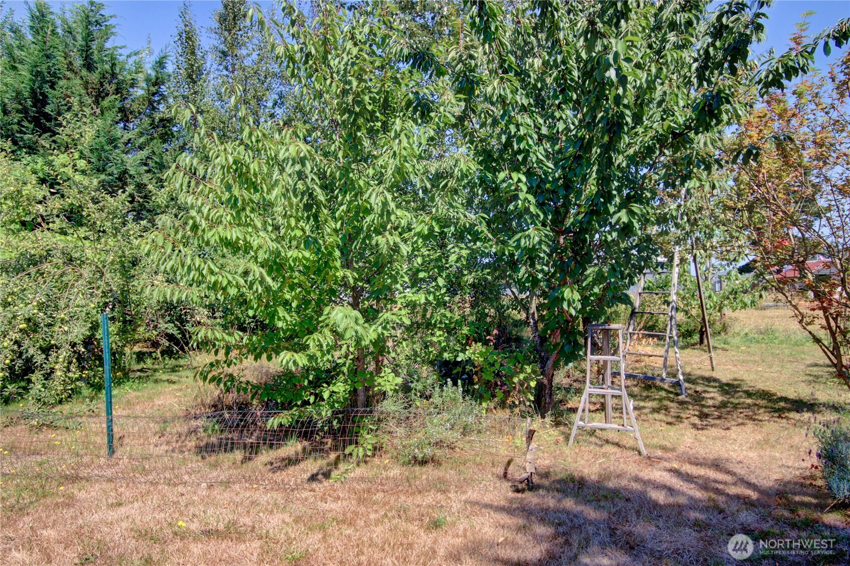 6749 Guide Meridian Road Property Photo 32