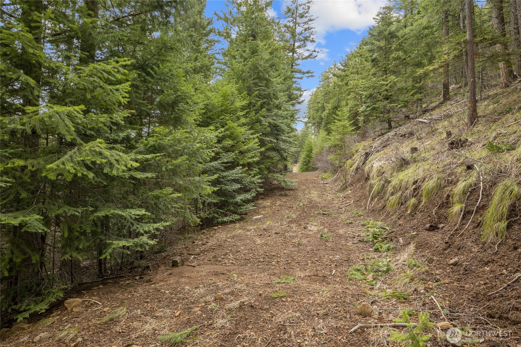 490 Thornton Creek Property Photo 25