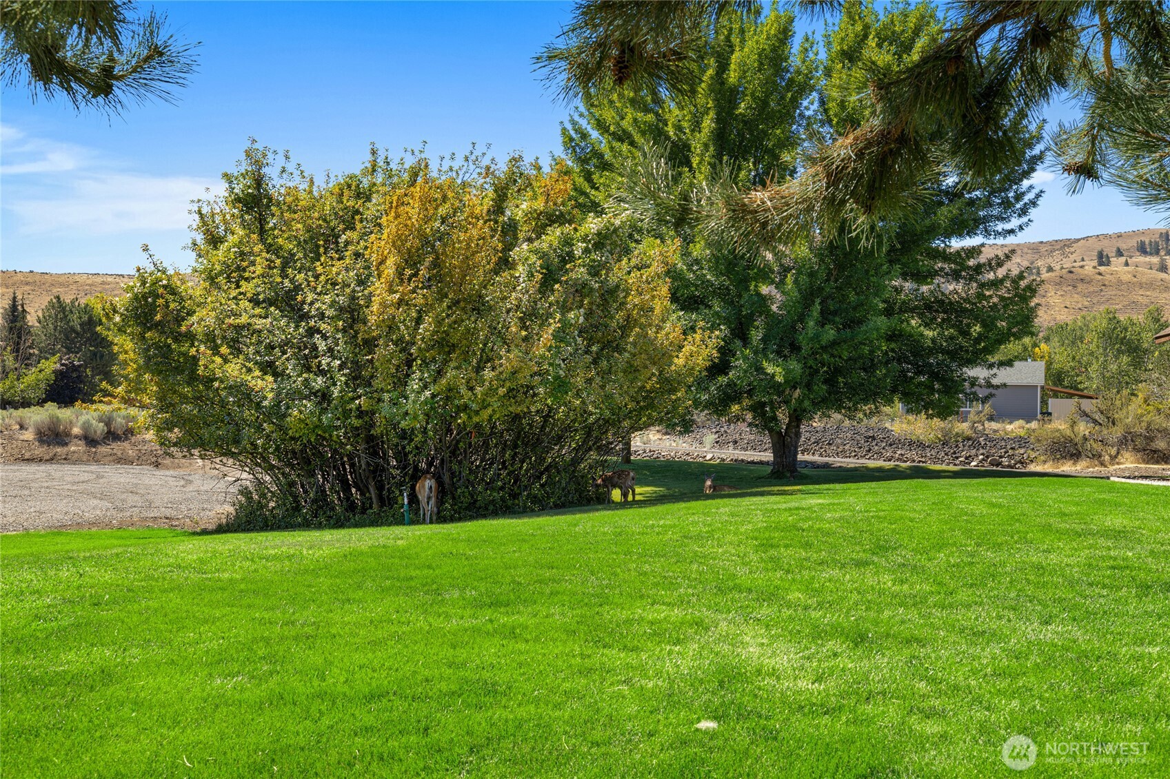 131 Aspen Drive Property Photo 30