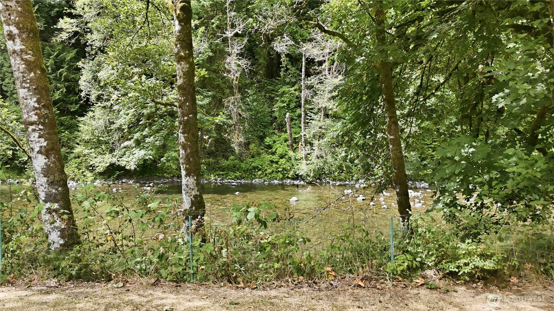 2241 Kalama River Road Property Photo 6