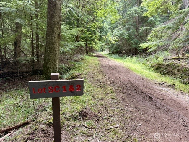 1 Lot Thatcher Pass Road Property Photo 2