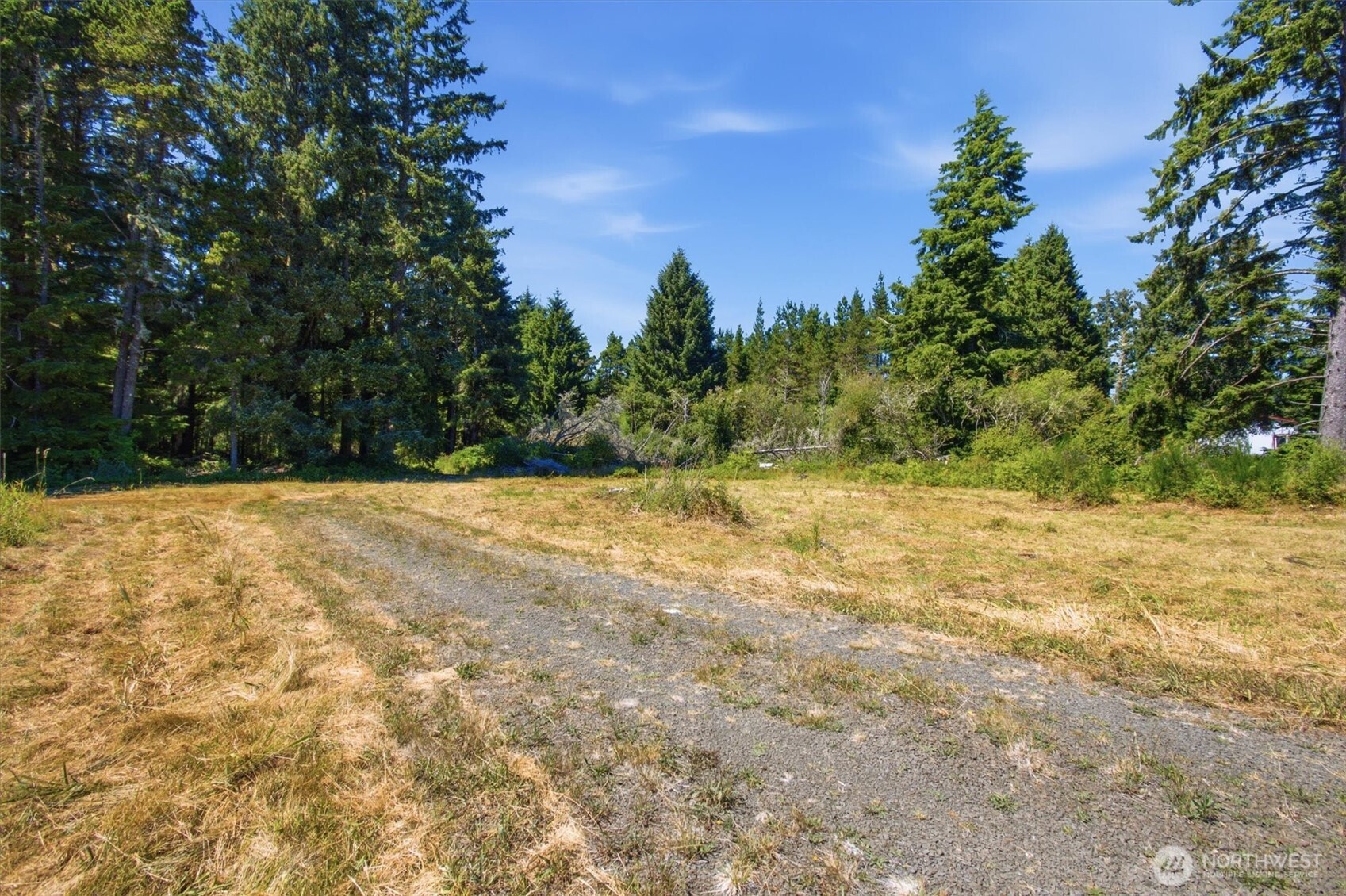 9905 Sandridge Road Property Photo 3