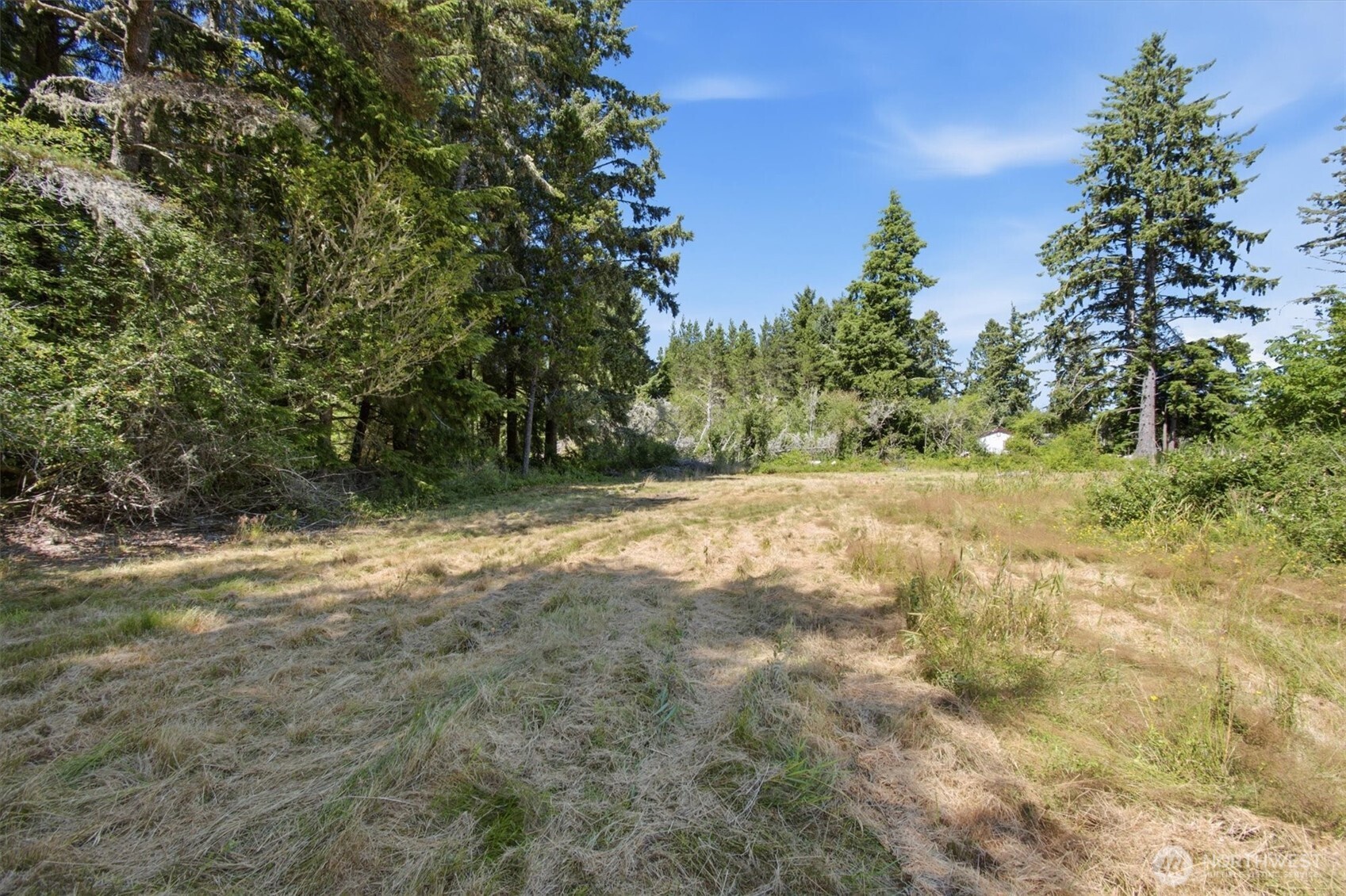 9905 Sandridge Road Property Photo 4