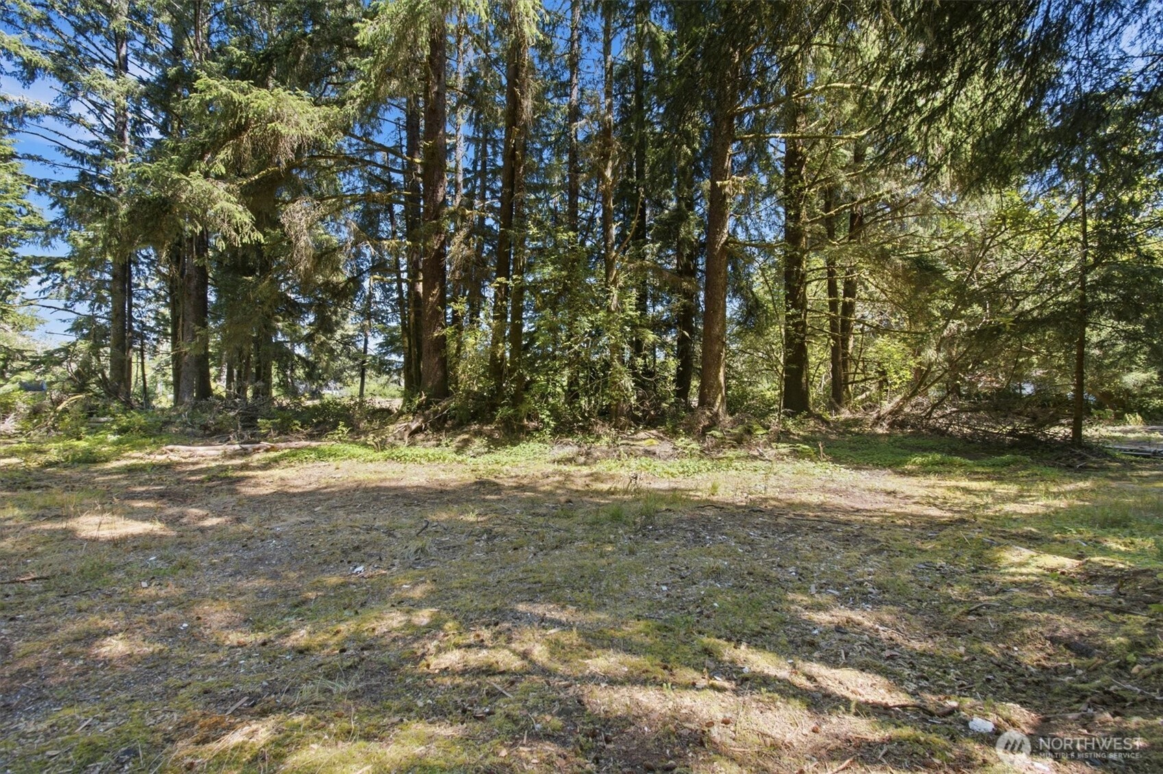 9905 Sandridge Road Property Photo 6