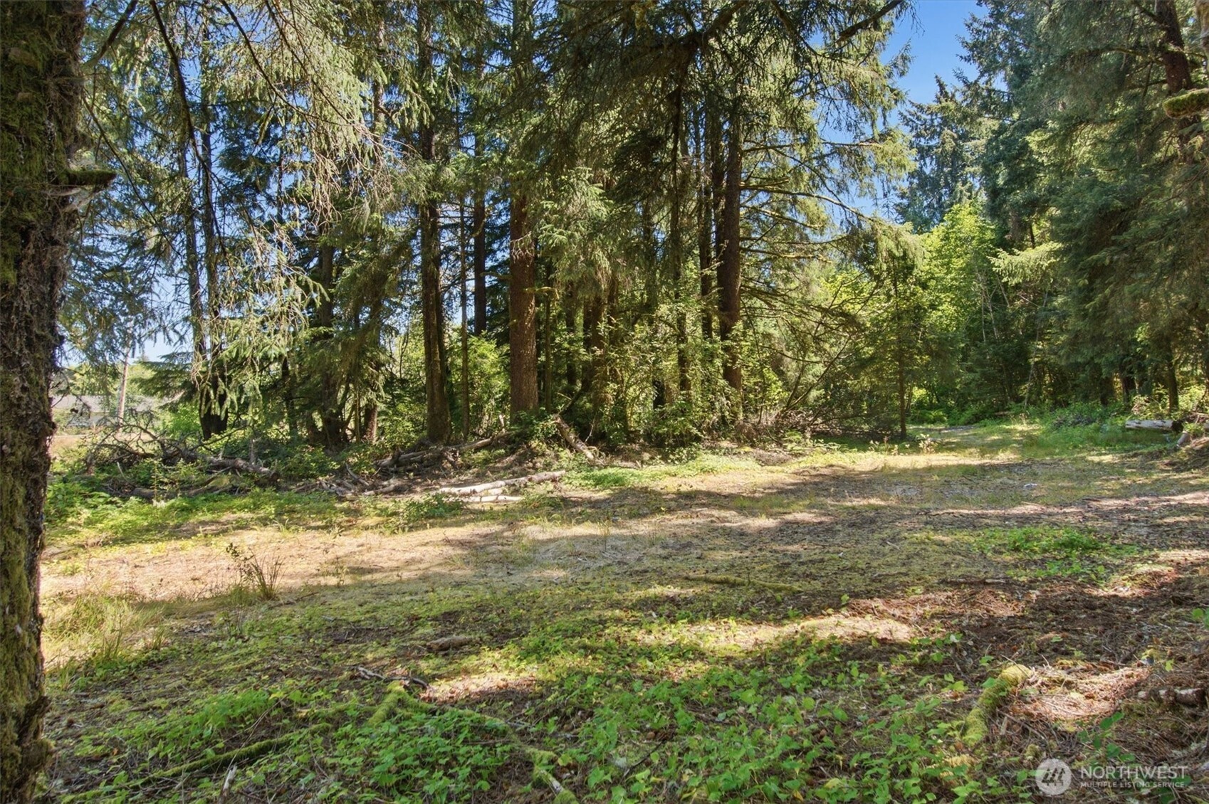 9905 Sandridge Road Property Photo 8