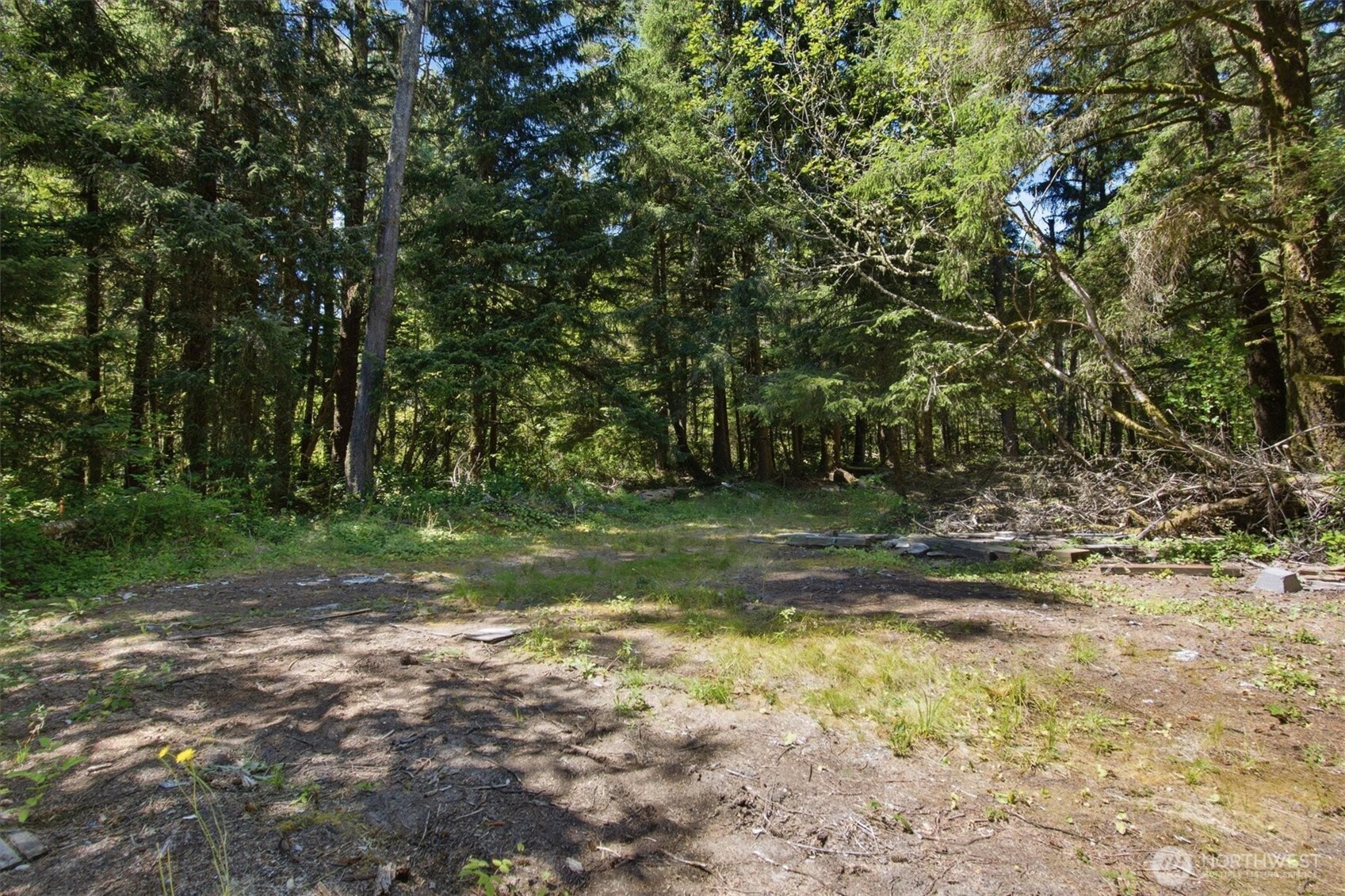 9905 Sandridge Road Property Photo 9