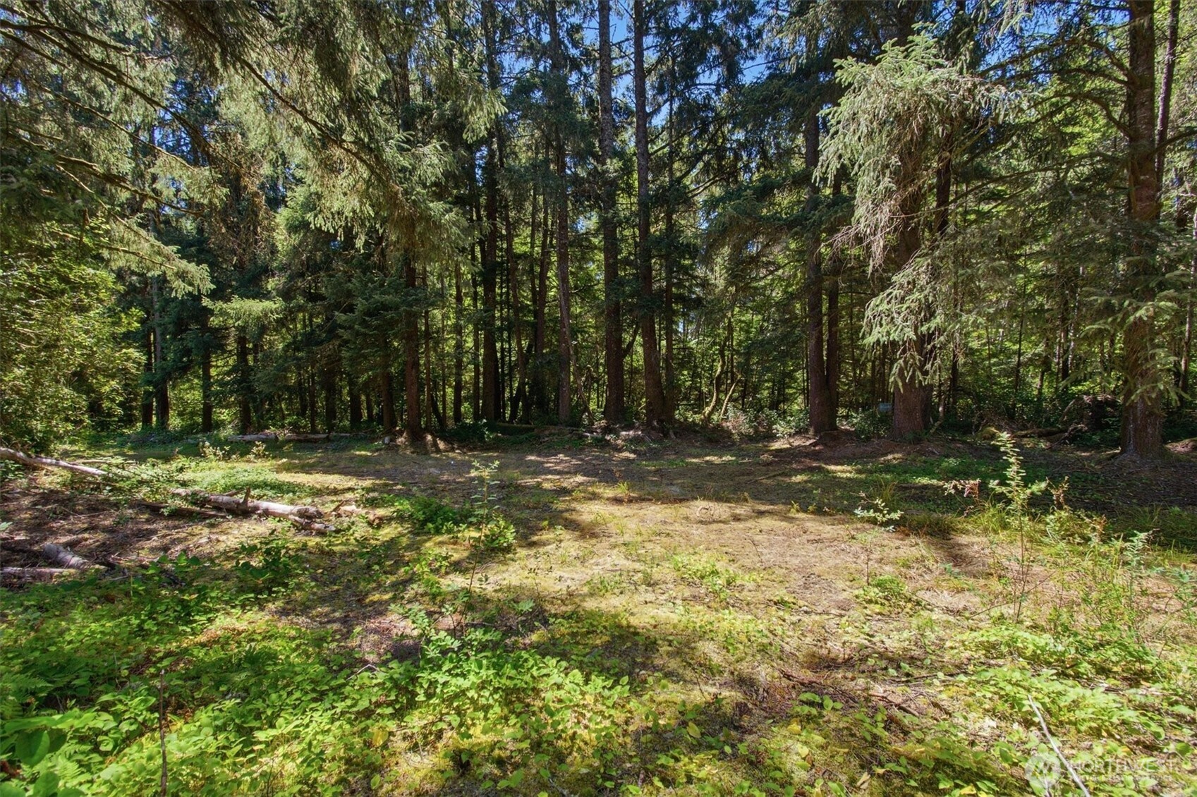 9905 Sandridge Road Property Photo 11