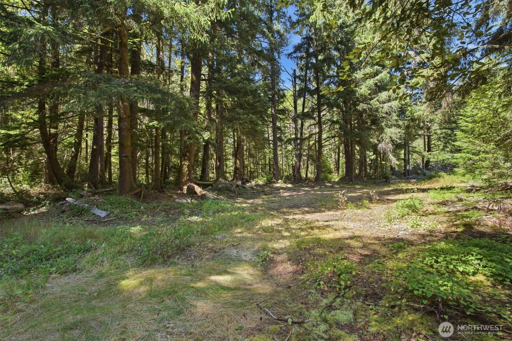 9905 Sandridge Road Property Photo 12
