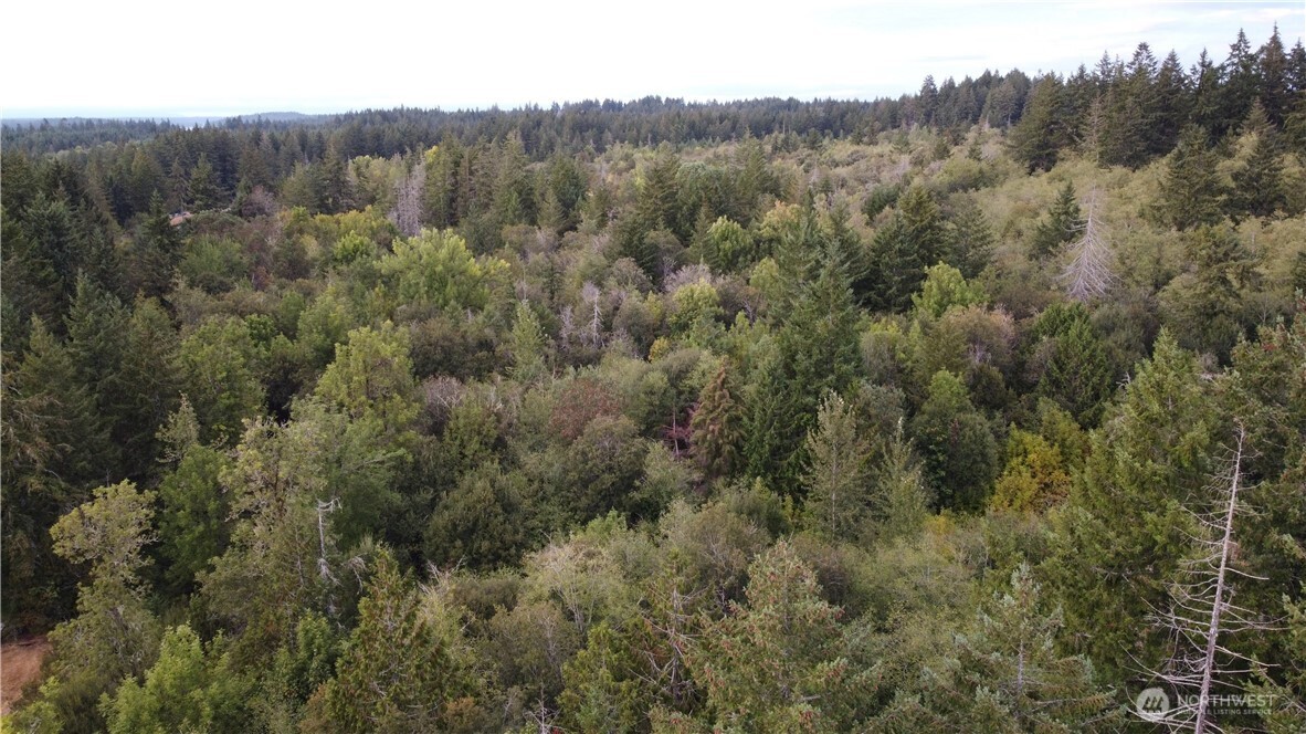 2616 Schirm Road Property Photo 2
