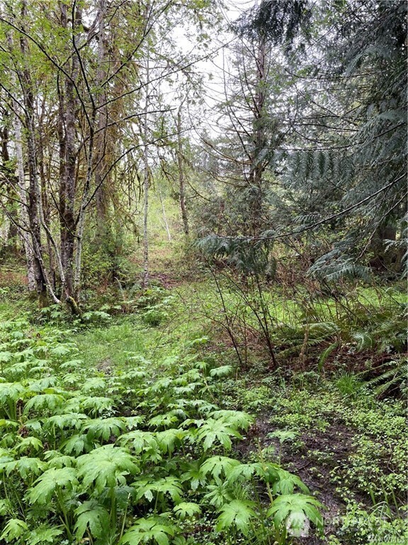 2616 Schirm Road Property Photo 4