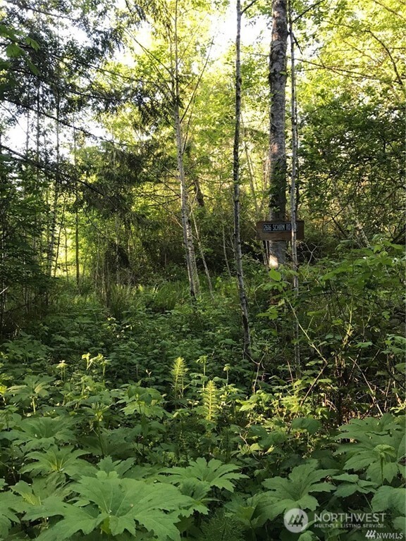 2616 Schirm Road Property Photo 6