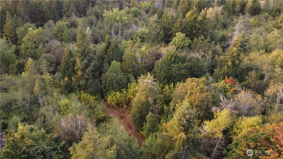 2616 Schirm Road Property Photo 8