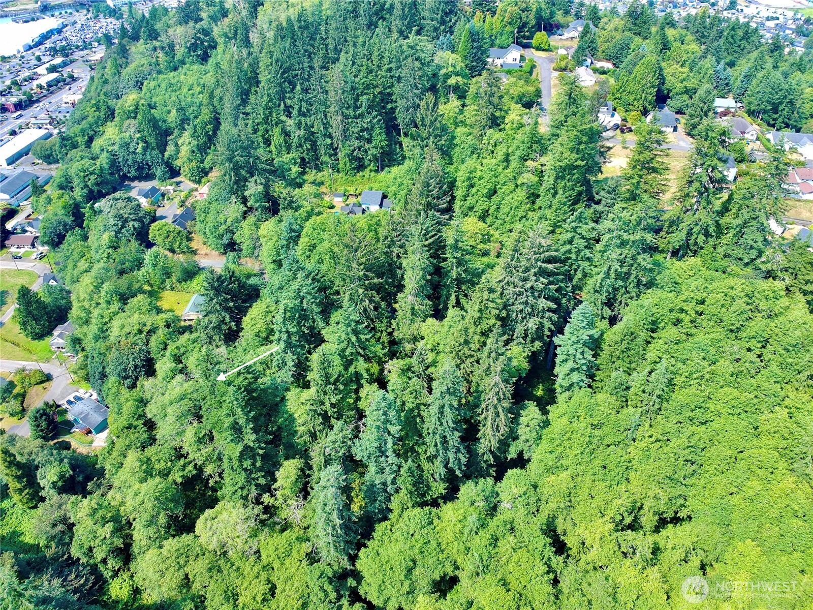 0 Blk 4 Lots 15-16 Pioneer Boulevard Property Photo 8